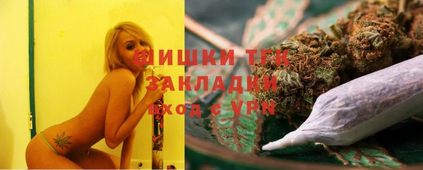 гидра Краснослободск
