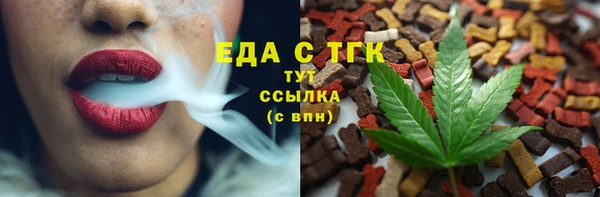 гидра Краснослободск