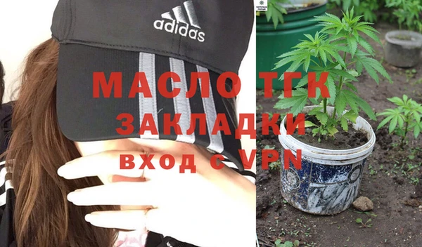 гидра Краснослободск
