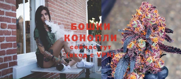 гидра Краснослободск