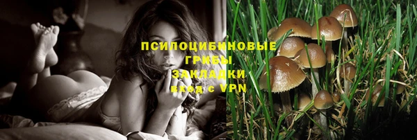 каннабис Краснотурьинск