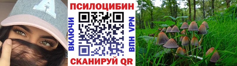 Галлюциногенные грибы GOLDEN TEACHER  где купить наркоту  Салаир 